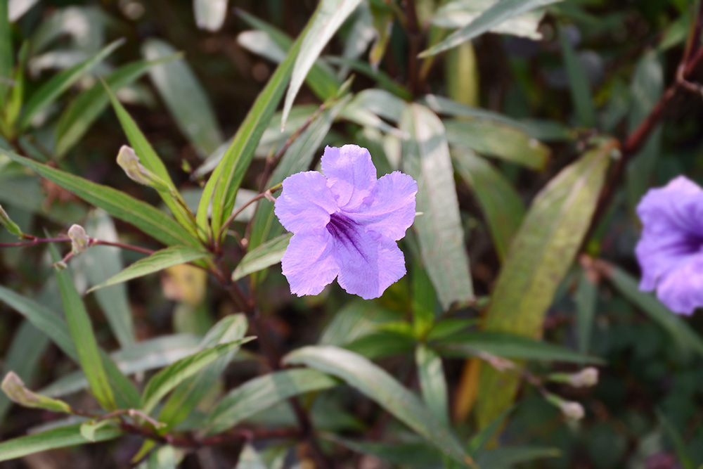 福鹿会·F6(中国)最新官方网站